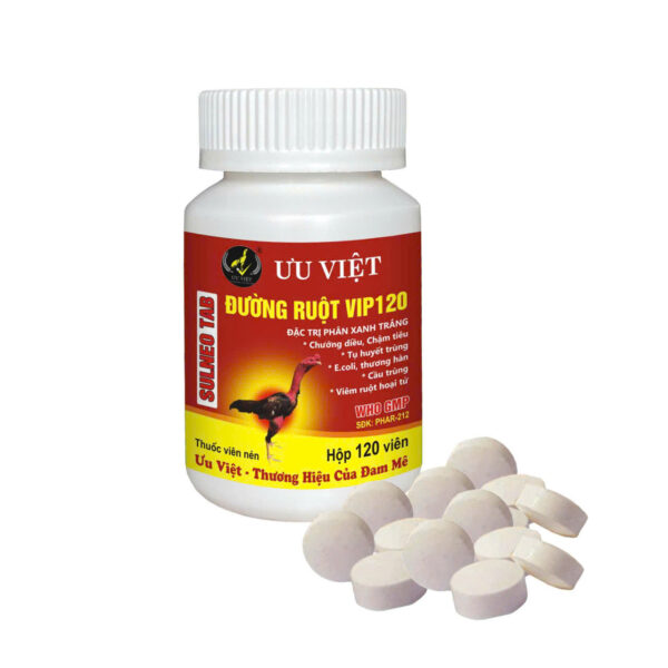 Đường Ruột VIP120 Ưu Việt
