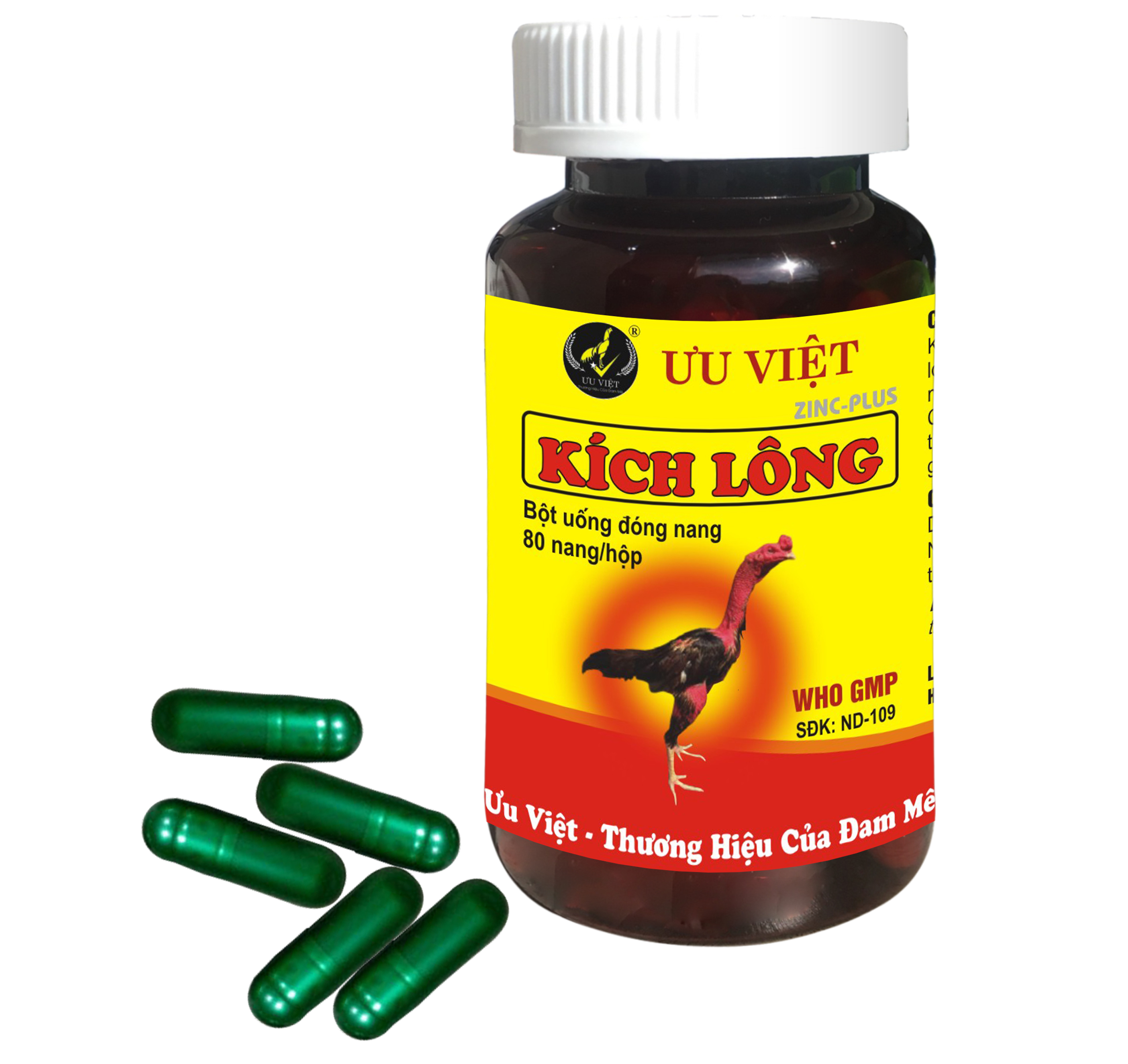 KÍCH LÔNG (ZinC-Plus) 80nang