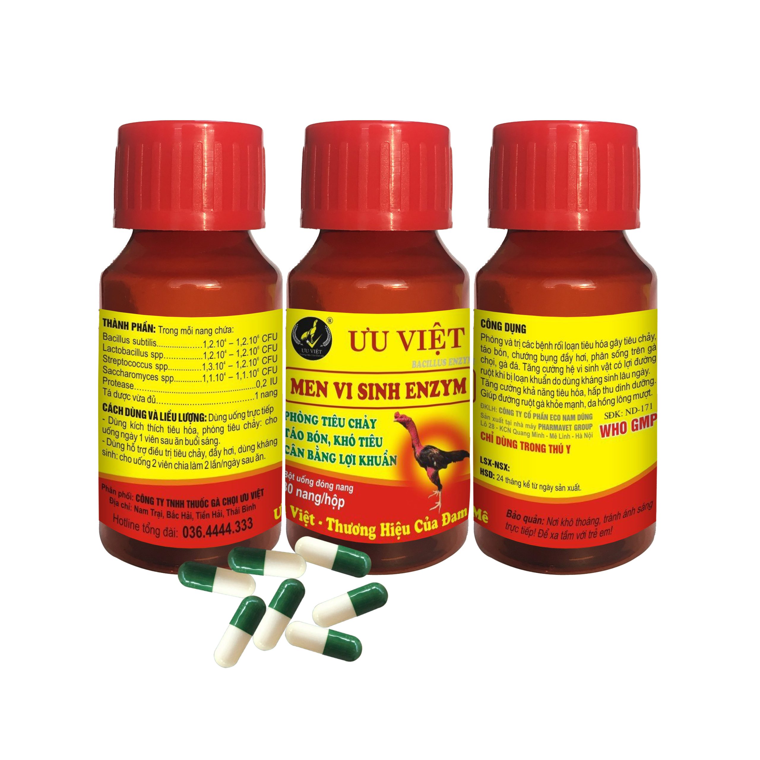 MEN VI SINH ENZYM (Bacillus enzym) 30nang