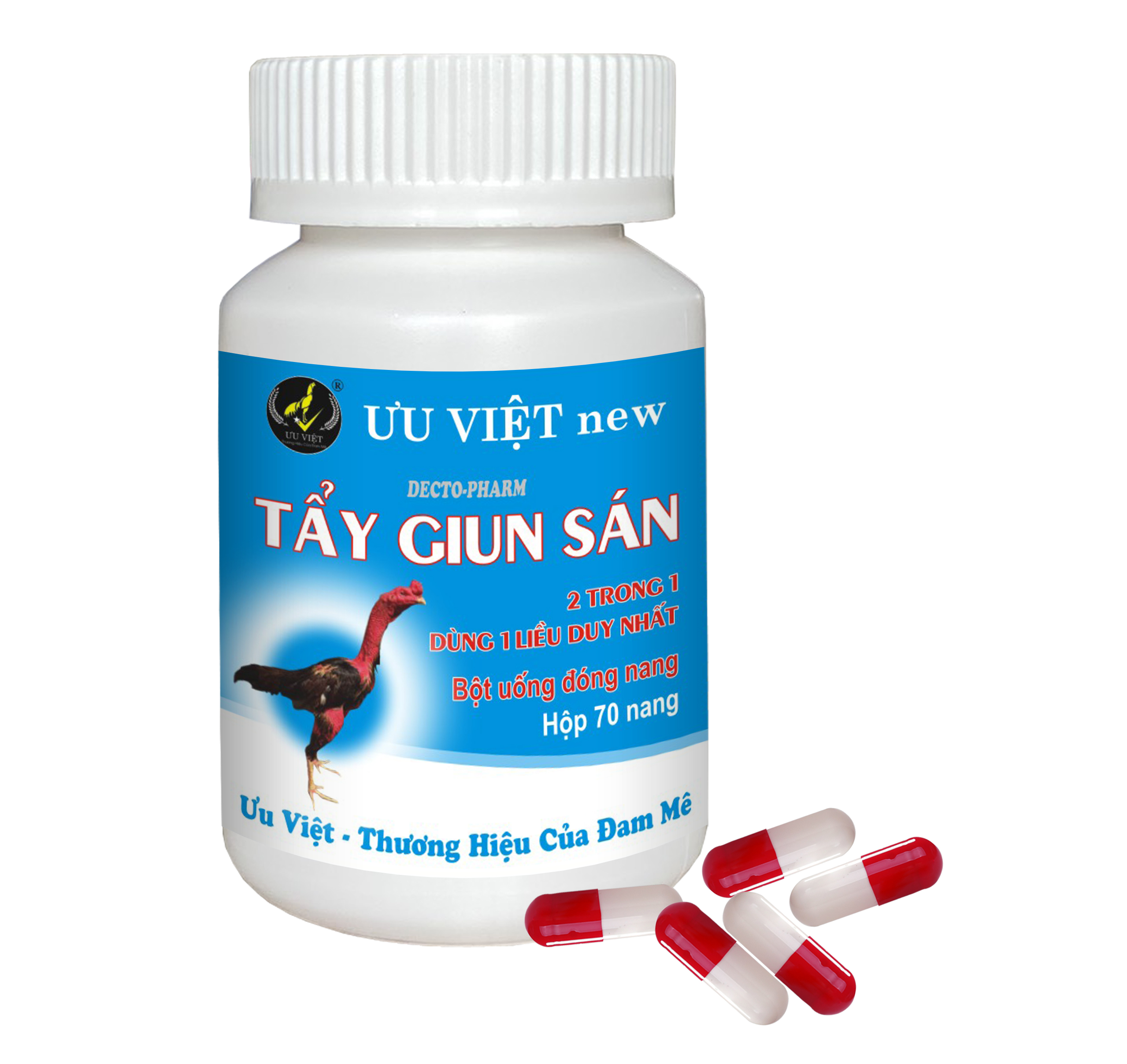 NEW TẨY GIUN SÁN (Decto-pharm) 70nang