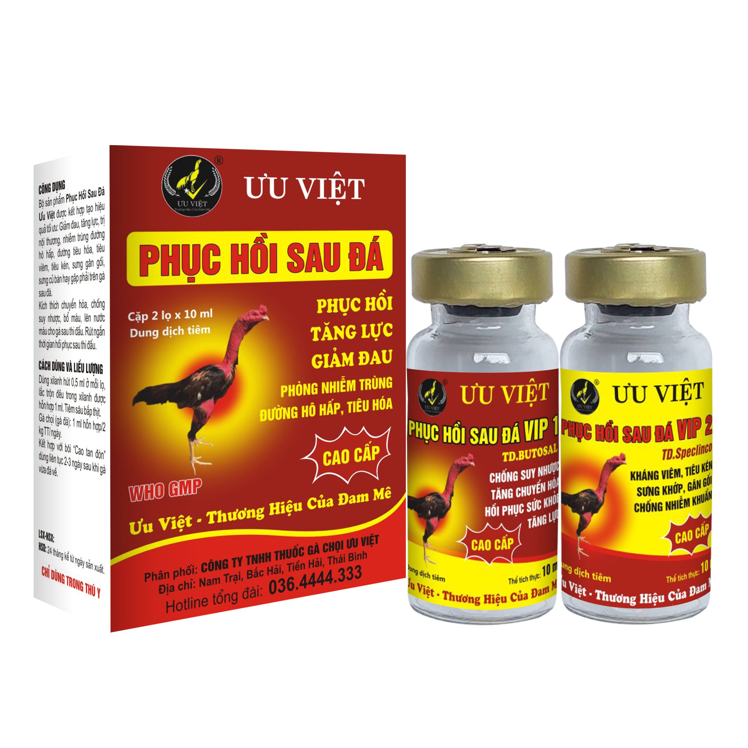 PHỤC HỒI SAU ĐÁ