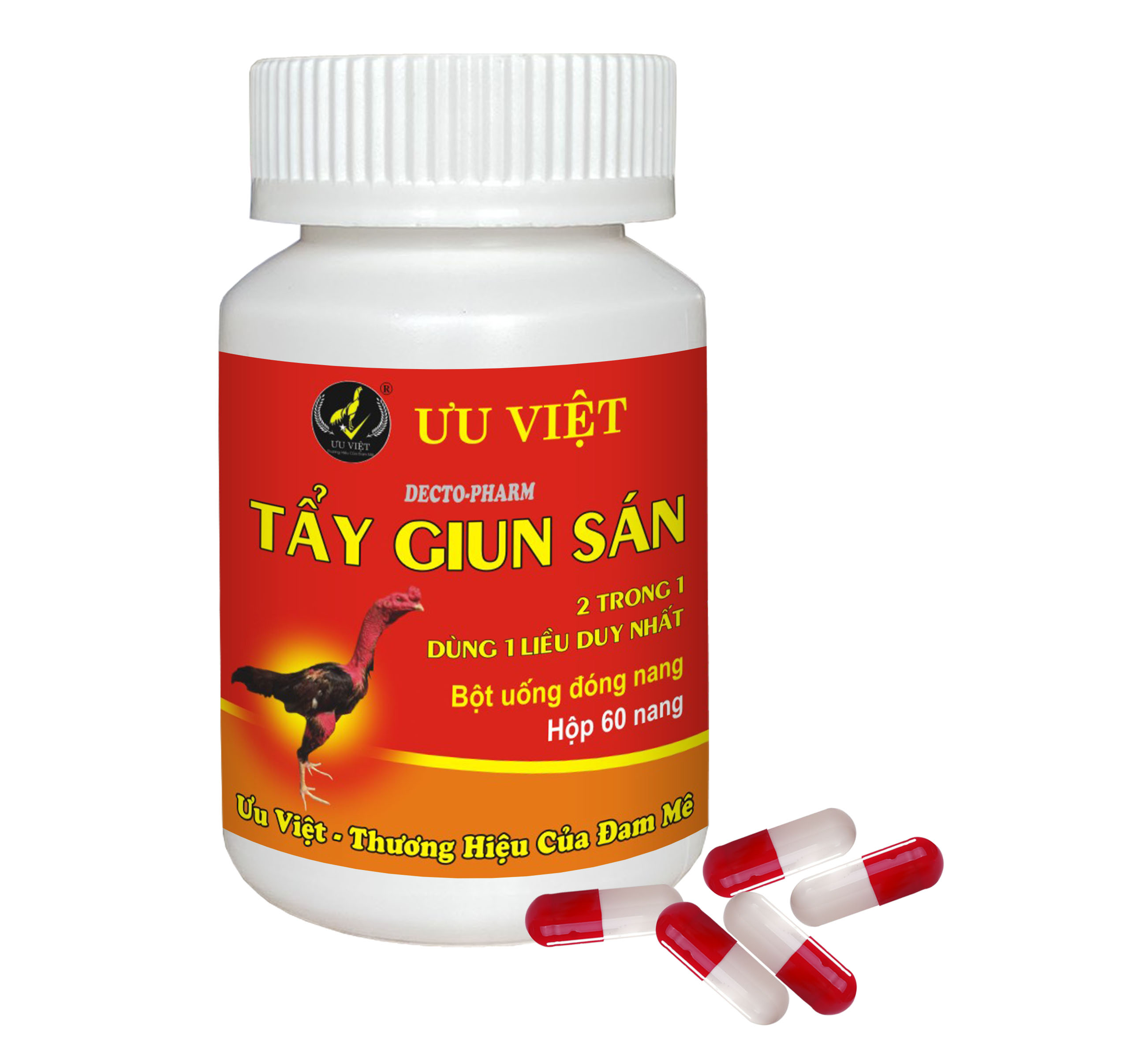TẨY GIUN SÁN (Decto-pharm) 60nang